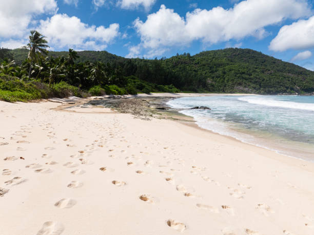 istock Beautiful beach in the blue water in the Seychelles. 2201650927