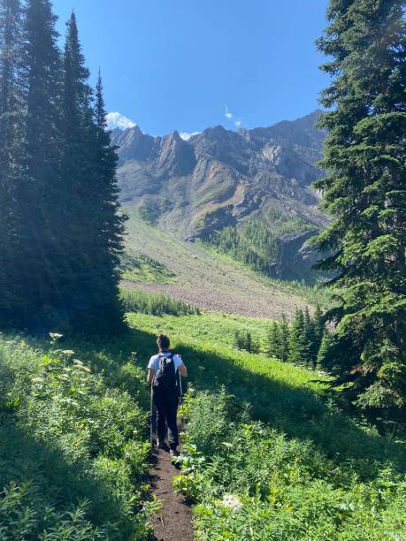 istock Woman hiking amidst lush greenery and mountains. 2201652127