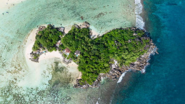 istock Sandy beach on a tropical island. Seychelles. 2201652716