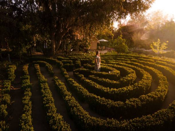A woman in a patterned dress stands in the center of a lush green labyrinth under the golden glow of sunset, surrounded by trees and foliage.