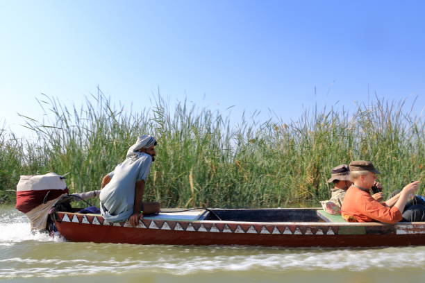 River Nil, Egypt - December 8, 2024. People of Egypt Collecting and Transporting Sugar Cane from the Wooden Boat on the Nile River