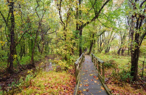 istock Boardwalk at Monocacy National Battlefield 2201656562