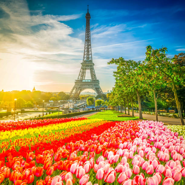 istock eiffel tour and from Trocadero, Paris 2201656620