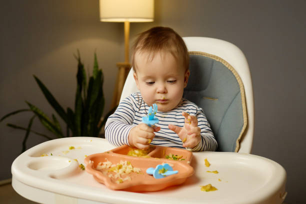 istock A young child sits at a high chair, using a fork to explore food on a divided plate. The cozy dining room features soft lighting and a plant, creating a warm atmosphere for mealtime 2201660122