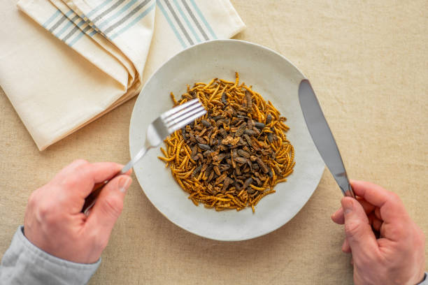 istock Worms and river shrimps and hands with a fork and knife in a beige plate on a table. Edible Insects. Insect food.alternative source of protein. 2201661927