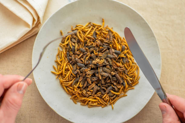 istock Worms and river shrimps and hands with a fork and knife in a beige plate on a table 2201661933