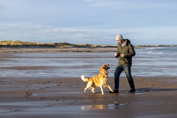 istock Scenic Beach Walk With Golden Retriever 2201665035