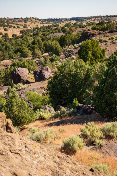 istock The Massacre Rocks State Park on a Sunny Summer Day 2201665058