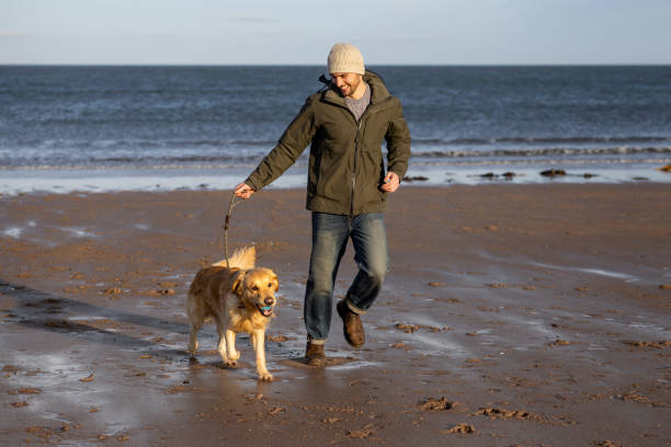 istock Sandy Beach Fun For Dog And Owner 2201665119
