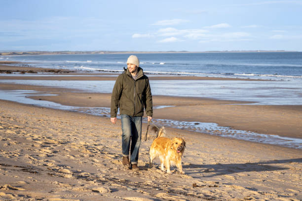 istock Golden Hour Dog Walks 2201665137