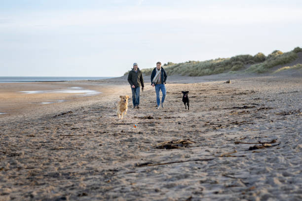 istock Male Friends Enjoying A Seaside Stroll 2201665197