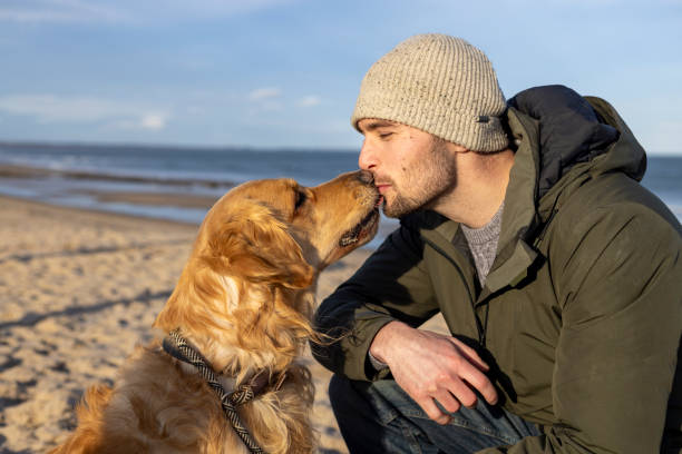 istock Dog Showing Affection By Kissing His Owner 2201665356