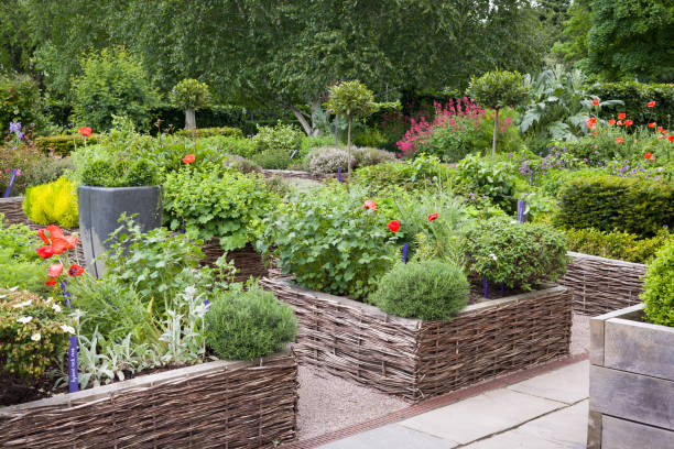 istock Raised beds in Physic Garden, Edinburgh, UK 2201665389