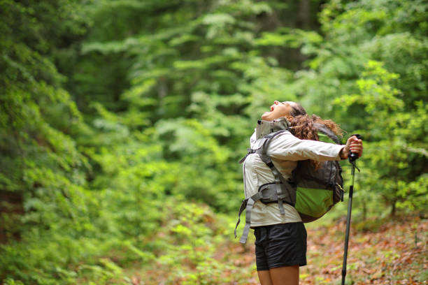 istock Excited trekker outstretching arms screaming in a forest 2201667598