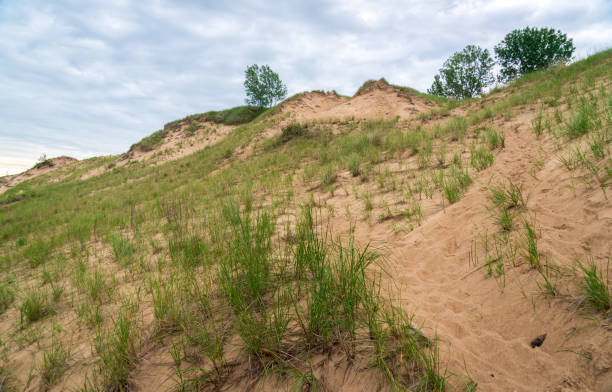 Lake Michigan's Indiana Dunes National Park