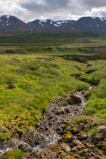 istock Icelandic landscape with a small stream in the grassland. 2201672697