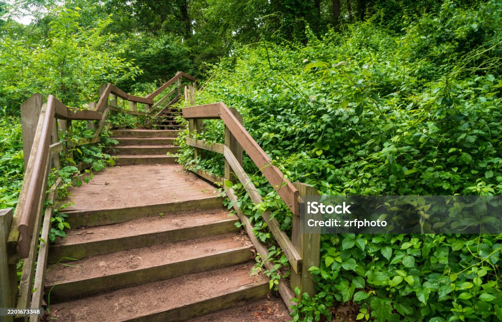 Trail at Lake Michigan's Indiana Dunes National Park - Bez autorských poplatků Barevný obrázek Stock fotka Trail at Lake Michigan's Indiana Dunes National Park - Bez autorských poplatků Barevný obrázek Stock fotka