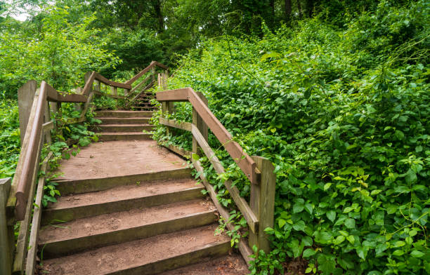 istock Trail at Lake Michigan's Indiana Dunes National Park 2201673348