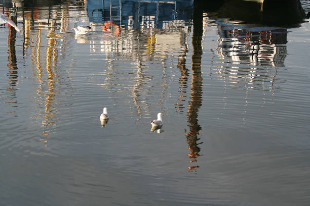 Netherlands, Bruinisse, july 2016: reflections of fishingboats in the harbour