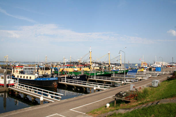 istock Bruinisse fishery harbour in the Netherlands 2201674487