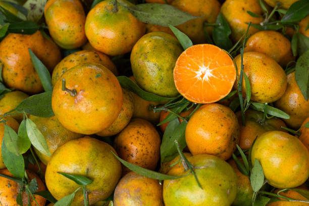 Close up of a pile of fresh mandarins with leaves, featuring a half cut fruit revealing its juicy and vibrant interior