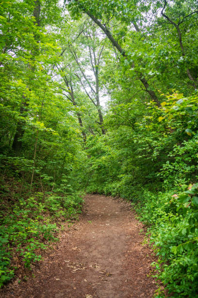 istock Trail at Lake Michigan's Indiana Dunes National Park 2201680025