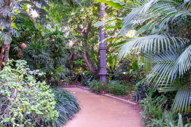 istock Serene Garden Path with Tropical Plants 2201684237