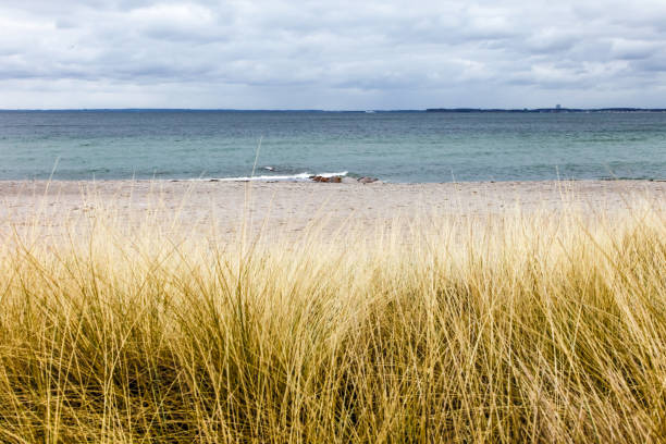 Beautiful view of the Baltic Sea beach in Germany, featuring waves, sandy dunes, and a vibrant sky. Perfect for nature and travel themes.