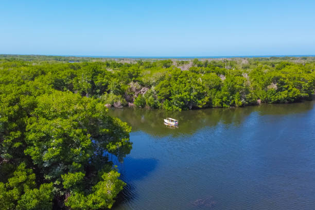 istock Laguna de La Restinga National Park 2201687317