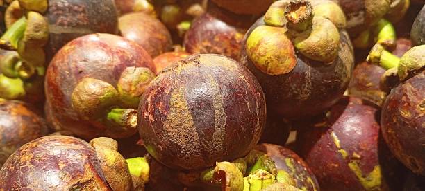 istock Mangosteen fruits 2201687693