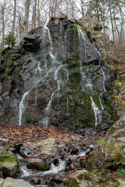 istock Radau Waterfall in the Harz Mountains 2201688412
