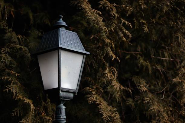 istock Vintage street lamp with foliage backdrop 2201689723
