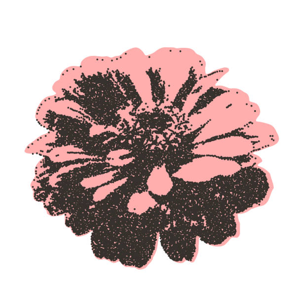 Flower collage sticker. Photocopy monochrome effect chrysanthemum. Brutal dotted retro floral. Collage paper botanical element. Vector stippled nature dahlia illustration isolated on white background.