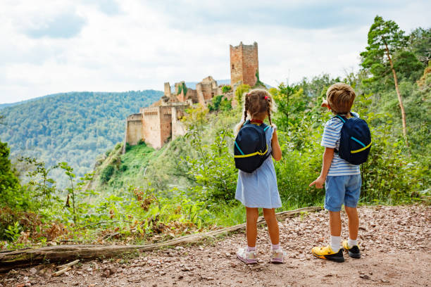 istock Scenic view of ancient castle ruin Saint-Ulrich with lush forest 2201697237