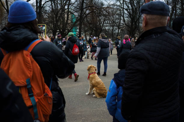Sausage dogs and event goers at a Dachshund festival meeting in Dorpstraat, Zoetermeer, the Netherlands on 11th May 2024
