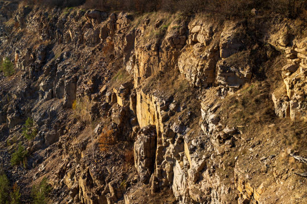 Rocky cliff with rough textures, golden sunlight, and sparse vegetation. The rugged terrain highlights natural erosion, with scattered dry plants and earthy tones dominating the landscape.