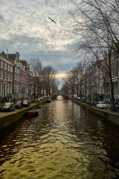 istock Canal reflecting golden light at dusk in amsterdam, netherlands 2201706024