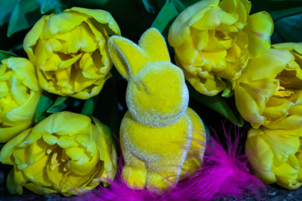 easter bunny with yellow tulips, wooden background