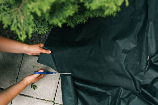 Hands cutting black landscape fabric with scissors while preparing the ground for gardening. The material is used for weed control and soil protection in an outdoor setting