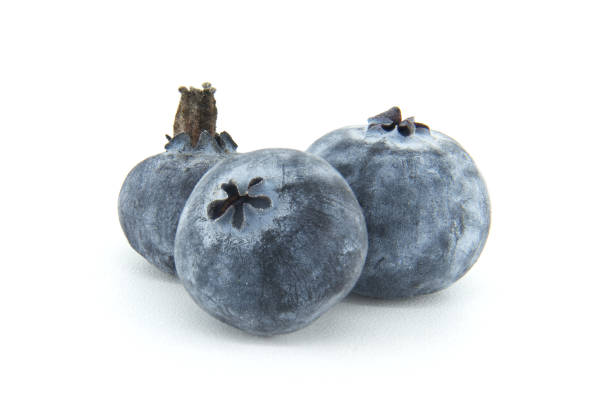 Close-up studio shot of three blueberries, their powdery bloom and distinctive crowns are clearly visible against a white backdrop.