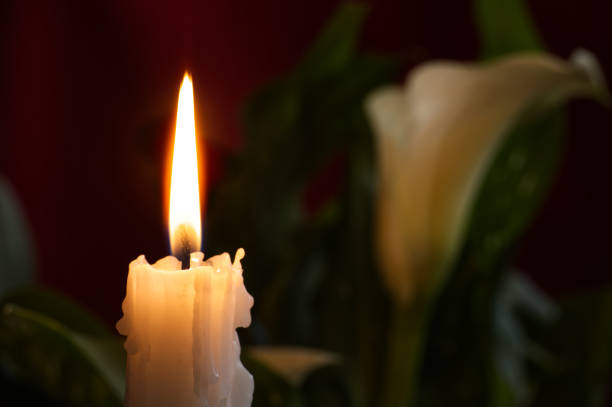istock A single candle flame illuminates a calla lily with a warm glow, creating a peaceful ambiance. 2201713410