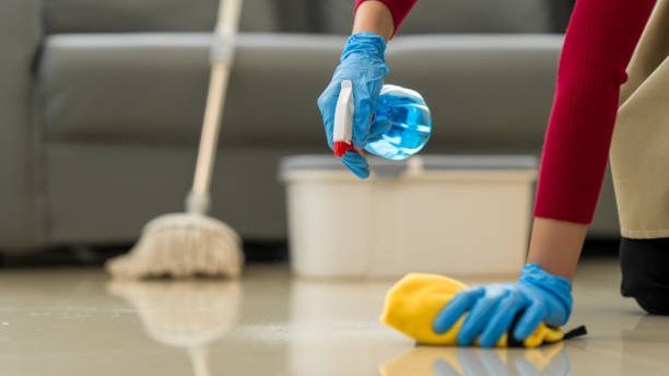 istock A young woman cleans her desk at home, using a disinfectant spray and a wipe. She ensures a hygienic and organized workspace, emphasizing cleanliness and personal health in her routine 2201713897