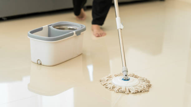 istock A young woman cleans her desk at home, using a disinfectant spray and a wipe. She ensures a hygienic and organized workspace, emphasizing cleanliness and personal health in her routine 2201713905