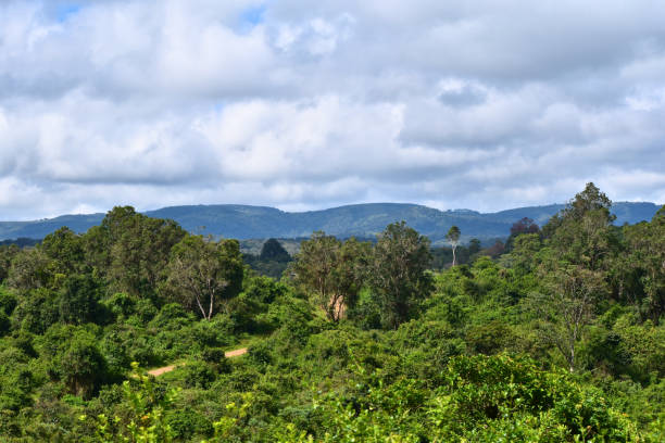 istock Aberdare National Park Landscape 2201717040