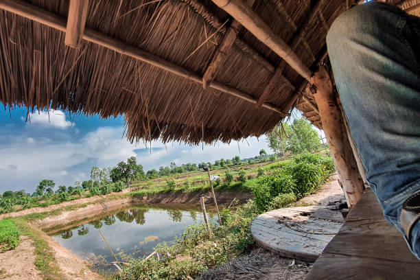 istock Relaxing Under a Thatched Roof in the Countryside 2201724076