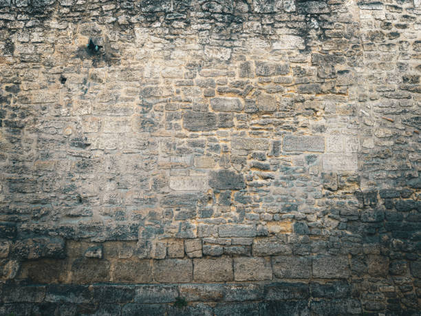 istock Explore the Vintage Wall Background Perfect for Your Design 2201727918