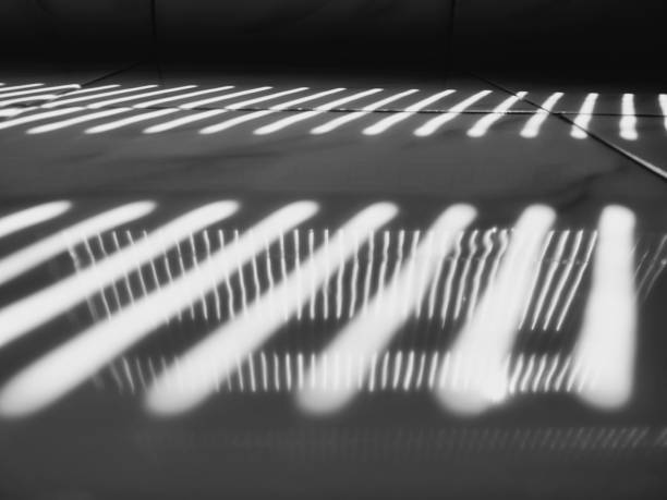 istock Monochrome. The interaction of light and shadow. 2201728460