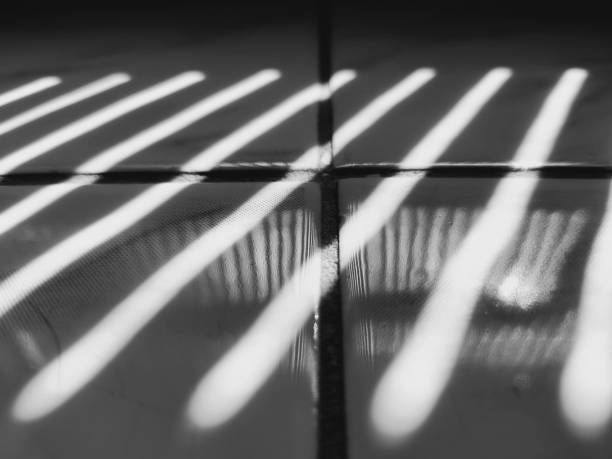 istock Monochrome. The interaction of light and shadow. 2201729013