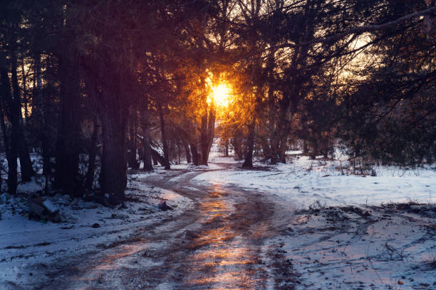A photo of winter landscape in Danmak