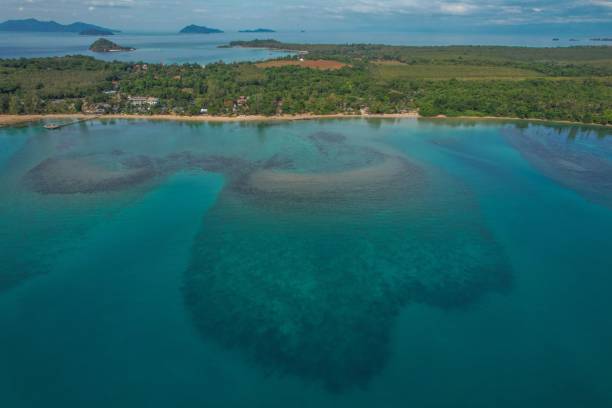 istock Aerial view of tropical coastline with turquoise waters. 2201733838